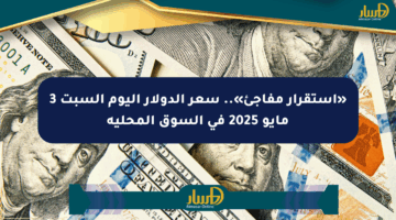 «استقرار مفاجئ».. سعر الدولار اليوم السبت 3 مايو 2025 في السوق المحلية